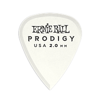 Ernie Ball P09202